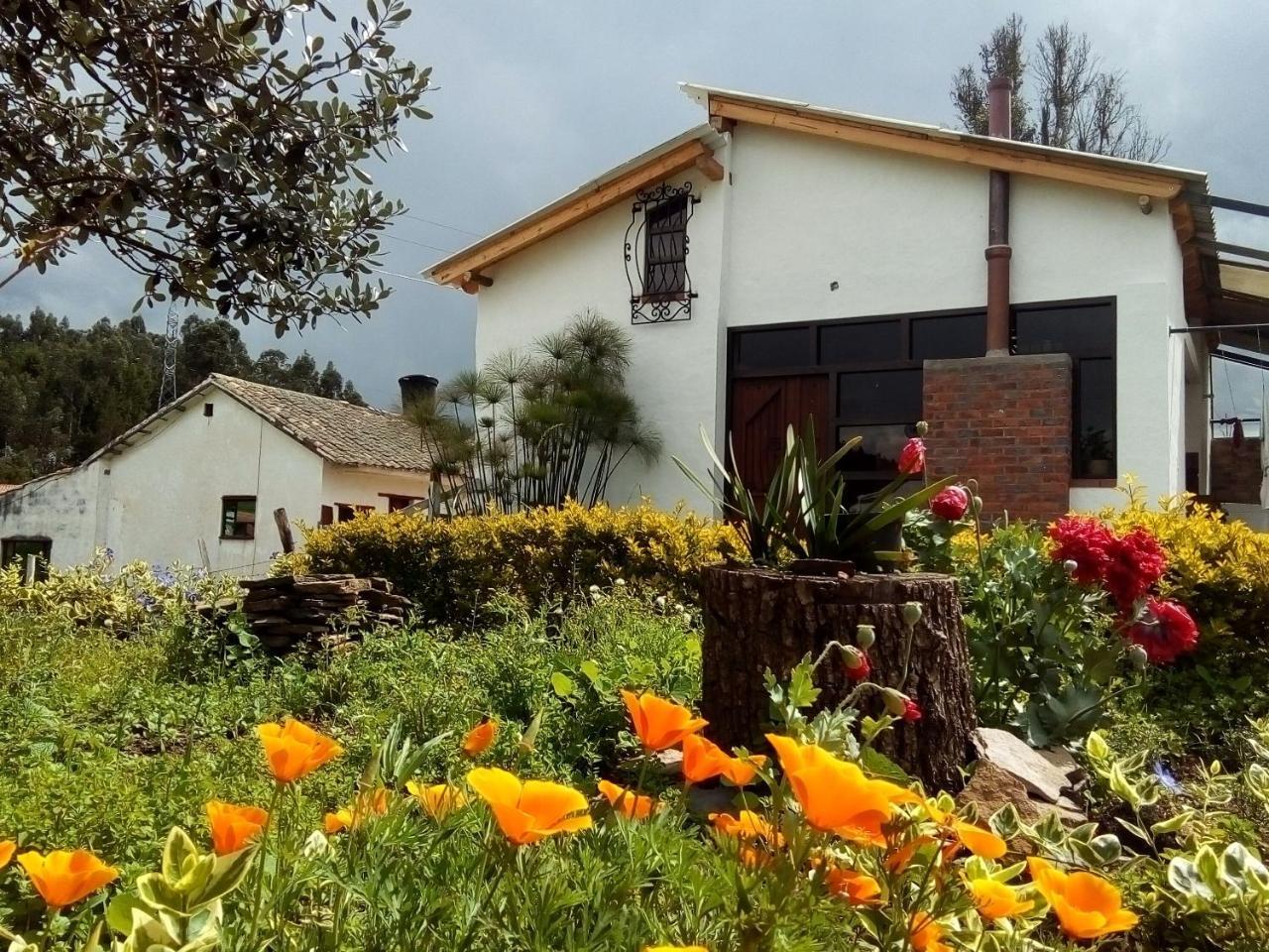 Cabanas & Glamping De Ruana Por Boyaca Paipa Εξωτερικό φωτογραφία